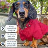 DJANGO Highland Dog Jacket & Raincoat – Water-Repellent, Lined Dog Coat with Hood, Adjustable Fit & Harness Hole – Lightweight Rain & Wind Jacket for Small & Medium Dogs up to 30 lbs (Red, Medium)