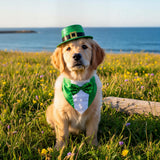 JOJFOUK St. Patrick's Day Dog Costume, Small Size Adjustable Festive Outfit with Bow Tie & Hat Porch Goose Outfit,Dog St Patrick's Day Costume for Parties, Parades, Photos