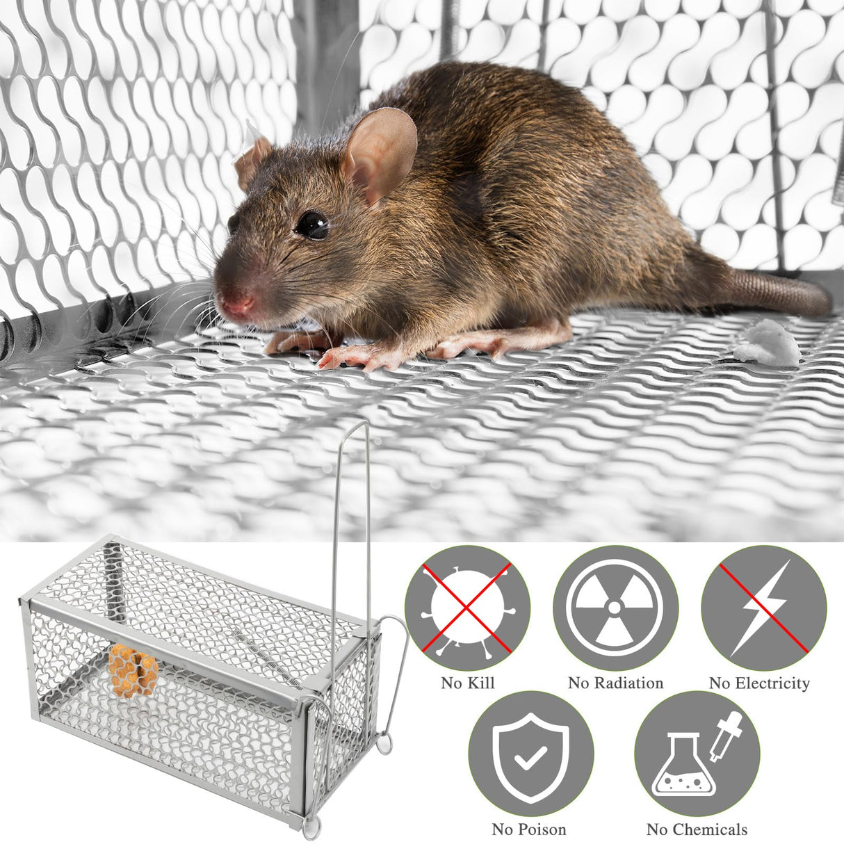Humane Rat Trap Chipmunk Rodent Trap Mouse Trap Squirrel Trap Small Live Animal Trap Mouse Voles Hamsters Live Cage Rat Mouse Cage Trap for Mice Easy to Catch and Release (Silver,2 Pcs)
