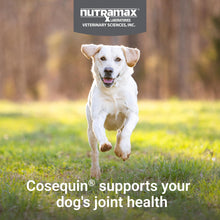 Load image into Gallery viewer, Nutramax Cosequin for Dogs Joint Health Supplement, Contains Glucosamine, Plus Chondroitin, MSM and Omega-3s, Supports Joint and Skin and Coat Health, Soft Chews, 120 Count

