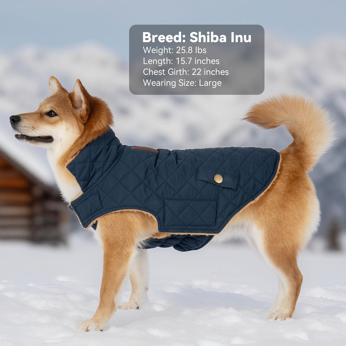 Vitiswap Dog Winter Coat, Warm Dog Jacket Windproof Waterproof Pet Cold Weather Coats for Small Dogs, Turtleneck Fleece Lined Dogs Clothes with Leash Hole, Navy Medium