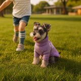 YUDODO Bowknot Dog Sweater Dress for Small Dogs Girl, Stretchy Pet Sweaters Pullover Coats, Fall Winter Warm Dog Turtleneck Sweater (Purple, S)