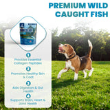 Wild Caught Marine Pet Collagen for Dogs, Peptide for Dogs - Improves Gut, Skin & Coat Health, Allergies, Pet Mobility Hip & Joint Supplement Health