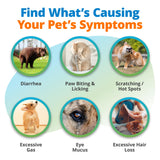 5Strands Raw & Fresh Pet Food Intolerance Test, at Home Gut Health Test for Dogs & Cats, 400+ Raw & Gently Cooked Fresh Food Items Tested, Accurate for All Ages & Breeds, Fast 4 Day Results