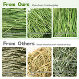Hay Natural Oven-Baked Timothy Hay for Guinea Pigs, Rabbits & Chinchillas, All Natural High Fiber Food for Digestive Health, 1.1 LB