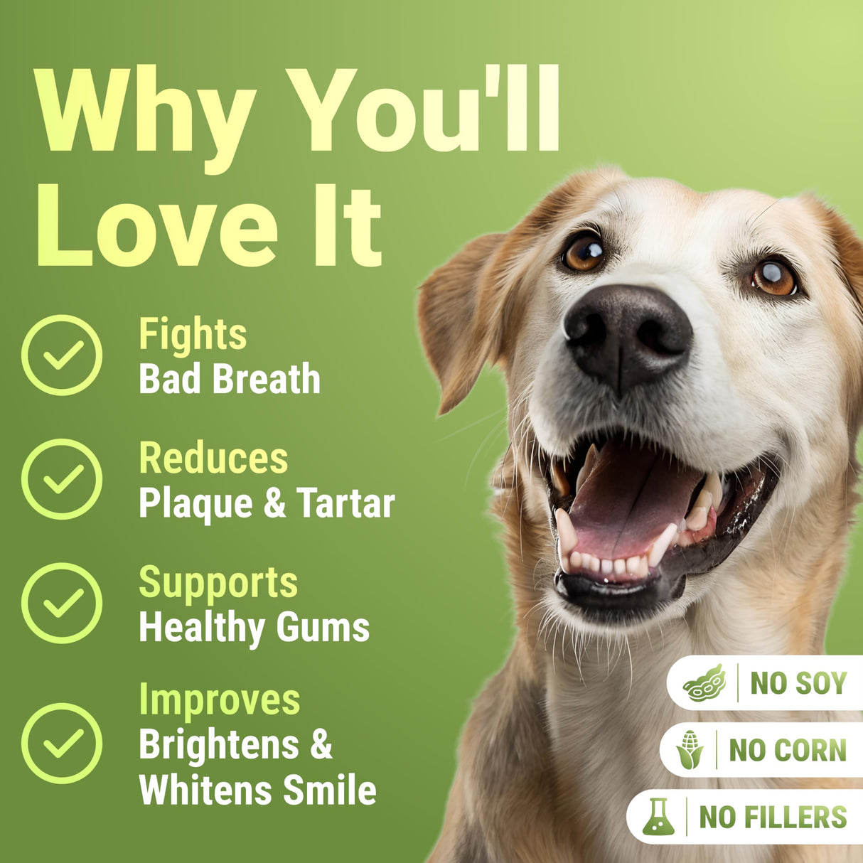 WuffWell Dog Teeth Cleaning Powder with Probiotics – Dog Dental Care for Plaque & Tartar Remover – Effective Dog's Teeth Care & Oral Hygiene for Fresh Breath – USA Made Dental Powder for Dogs Teeth