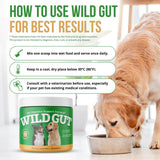 Wild Gut - Natural Probiotic Supplement for Pets | Supports Digestive Health & Gut Microbiome | 8 Probiotic Strains | 1 Bottle