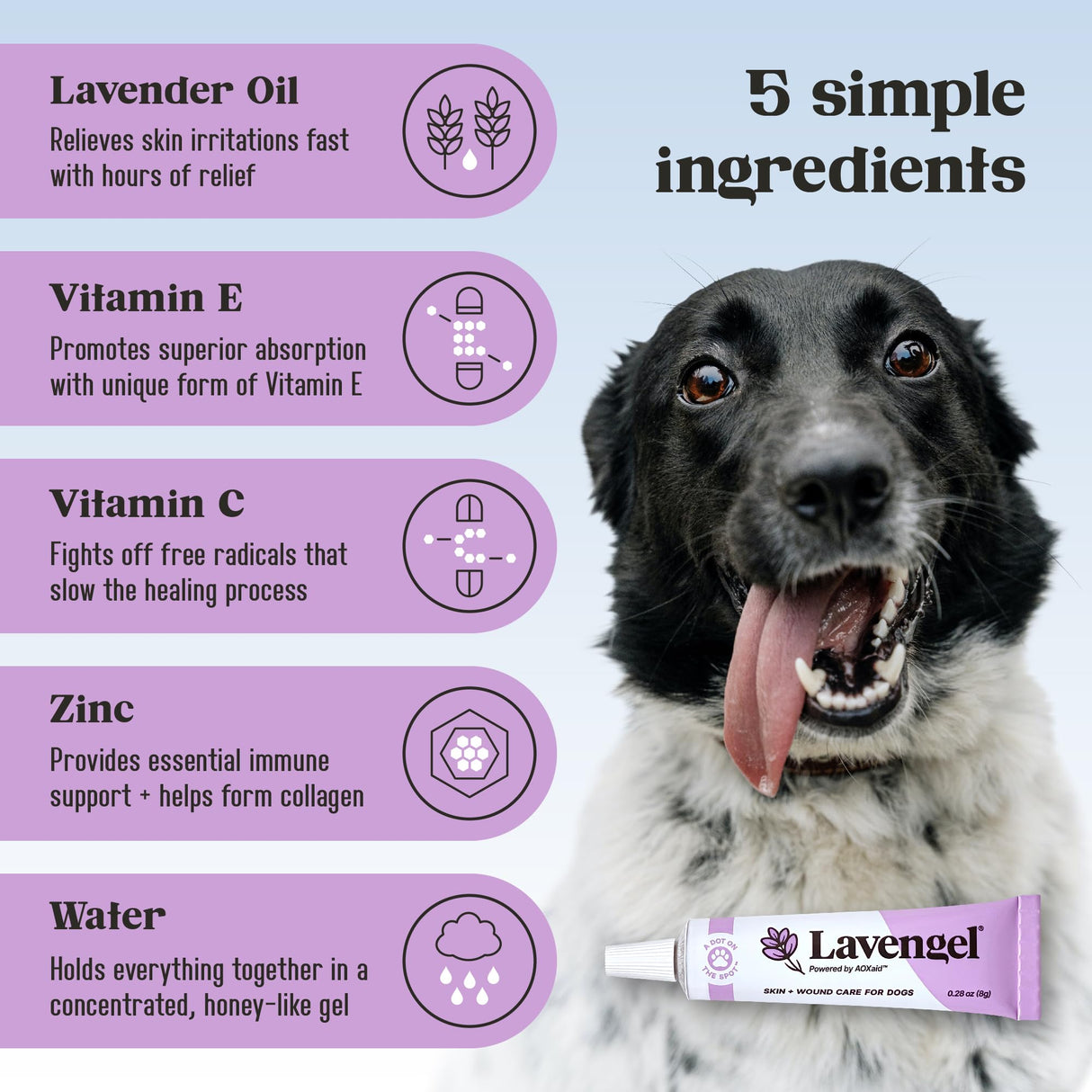 Lavengel for Dogs - Reduces Skin Irritations and Itching - Effective Wound Care and Hot Spot Treatment