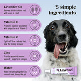 Lavengel for Dogs - Reduces Skin Irritations and Itching - Effective Wound Care and Hot Spot Treatment