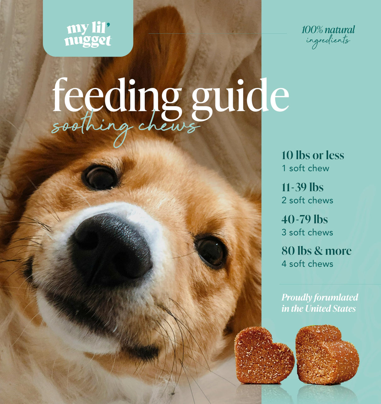My Lil' Nugget – Vet-Approved Calming Chews for Dogs | All-Natural Calm Treat for Noise, Travel & Home Alone | Chamomile & Melatonin | All-Ages - Senior Dog to Puppy | 90 Beef‑Flavor Soft Chews