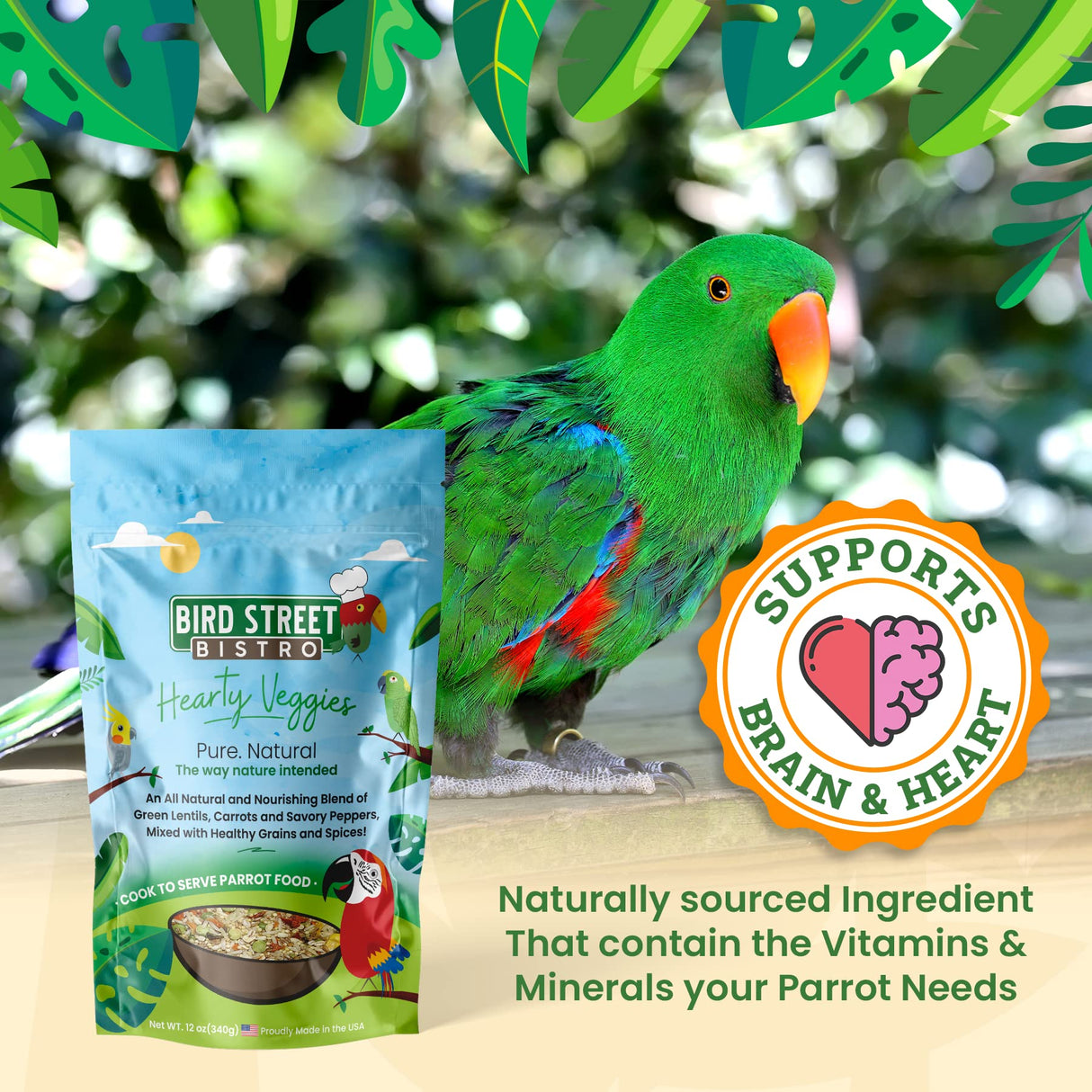 Bird Street Bistro Cockatiel Food Sample 3 Pack - Cooks in 3-15 min w/Natural Whole Grains - Healthy Non-GMO Fruits, Dried Vegetables, Health Orientated Spices