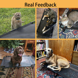 Loebelle Foldable Elevated Dog Cot, No Assembly Need, Waterproof Folding Raised Dog Bed, Outdoor Dogs Cot Cooling Pet Hammock Bed with Breathable Mesh for Small Medium Size Dogs, Chew-Proof, Black