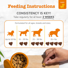 Load image into Gallery viewer, Zesty Paws Puppy Probiotics for Dogs - for Digestive Health, Gut Flora &amp; Immune System Support - Dog Probiotics for Puppies with Bacillus subtilis &amp; Pumpkin - 90 Count
