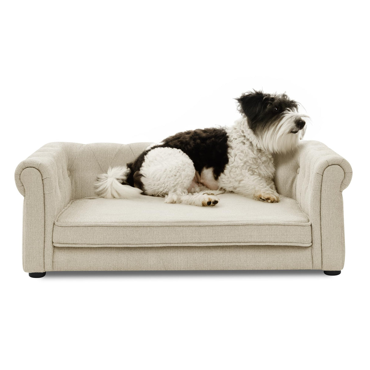 KrenzhHome Elevated Dog Sofa with Backrest and Armrests, Button Tufted Dog Couch Bed with Soft Cushion for Medium Dogs, Stylish Lounging Bed Pet Couch Chair, 60Lbs Weight Capacity, Beige