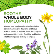 Load image into Gallery viewer, MediNatura T-Relief Pet Arthritis Relief Arnica +12 Powerful Natural Homeopathic Medicines Help Ease Hip &amp; Joint Pain Soreness &amp; Stiffness for Dog &amp; Cat - 90 Tablets
