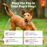 Zesty Paws Mussel Mobility Bites for Dogs - New Zealand Green Lipped Mussel with Natural Glucosamine & Chondroitin + Omega-3 Fatty Acids - Hip & Joint Support Supplement Soft Chews – 90 Count