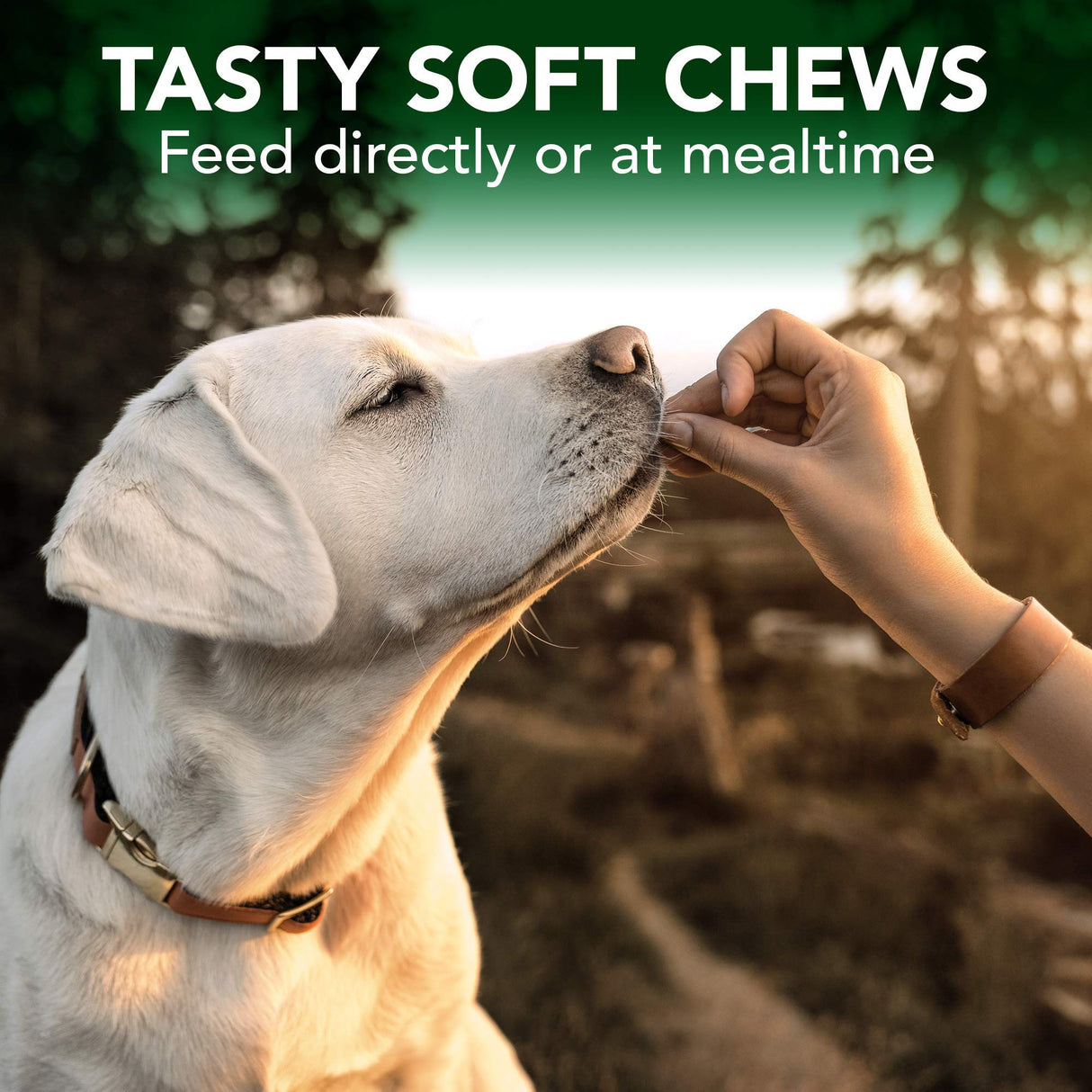 Vet's Best Seasonal Allergy Soft Chew Dog Supplements, Soothes Dogs Skin Irritation Due to Seasonal Allergies, 30 Day Supply