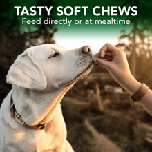 Load image into Gallery viewer, Vet's Best Seasonal Allergy Soft Chew Dog Supplements, Soothes Dogs Skin Irritation Due to Seasonal Allergies, 30 Day Supply
