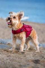 NOAH & PAW Dog Life Jacket, Human Standards Lifejacket Design, Dog Life Vest for Swimming and Boating, 3X Foam Support for Max Floating, Breathable Mesh, Salvavidas para Perros, Size XS