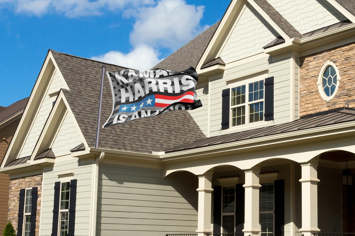 Kamala Harris Is An Idiot Flag 3x5FT Fuck Kamala Harris 2024 Flag Vivid Color Polyester With 2 Brass Grommets Supporting Trump American Patriotic Banner (Pattern E)