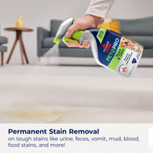 Load image into Gallery viewer, Bissell Pet Pro Stain and Odor Eliminator with Enzyme Action, 2 pack, 77X7F
