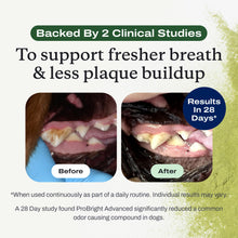 Load image into Gallery viewer, PetLab Co. ProBright Advanced Dental Powder - Dog Breath Freshener - Teeth Cleaning Made Easy – Targets Tartar &amp; Bad Breath - Packaging May Vary - Formulated for Large Dogs
