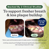 PetLab Co. ProBright Advanced Dental Powder - Dog Breath Freshener - Teeth Cleaning Made Easy – Targets Tartar & Bad Breath - Packaging May Vary - Formulated for Medium Size Dogs