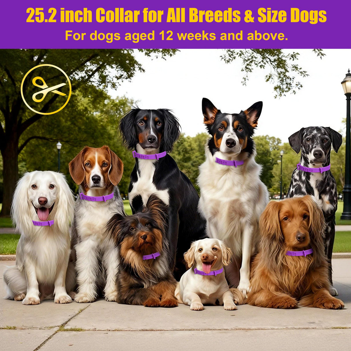 4 Pack Flea Collar for Dogs, Adjustable Flea & Tick Prevention Collars with Comb for Small Medium and Large Dog, Waterproof Flea Control Collar Safe for All Breeds, 25 inch