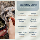 Pure Dogs Hip & Joint Dog Chews - Glucosamine Chondroitin & Green Lipped Mussel for Joint Pain Relief, Function & Mobility, Gut & Digestive Support - for Large & Small Breeds - 90 Chews
