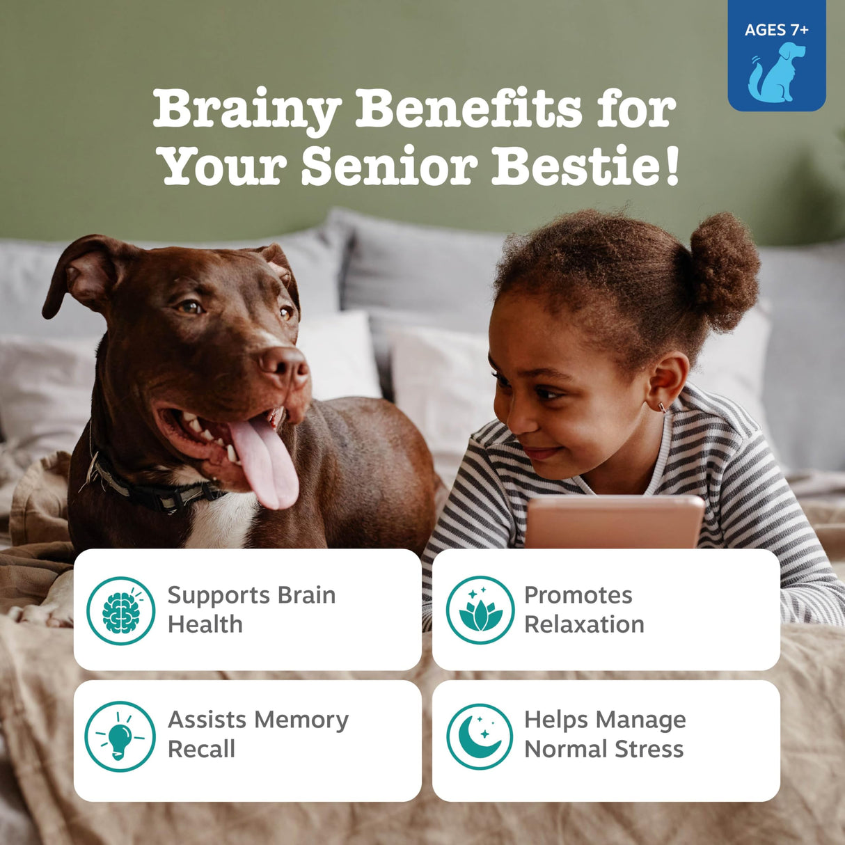 Zesty Paws Senior Advanced Calming & Cognition Soft Chews for Dogs - Supplements for Dog Brain Health & Nervous System Support + Calming & Relaxation -with Ashwagandha, DHA & Melatonin
