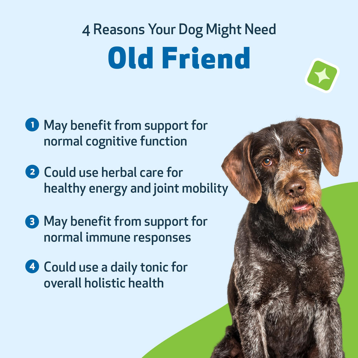 Pet Wellbeing Old Friend for Senior Dogs - Supports Immune System Health, Joint Mobility, Healthy Energy Levels, Alfalfa, Reishi - Veterinarian-Formulated Herbal Supplement 2 oz (59 ml)