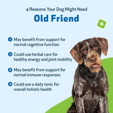 Pet Wellbeing Old Friend for Senior Dogs - Supports Immune System Health, Joint Mobility, Healthy Energy Levels, Alfalfa, Reishi - Veterinarian-Formulated Herbal Supplement 2 oz (59 ml)