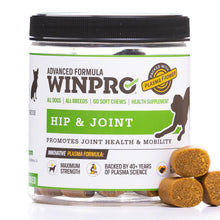 Load image into Gallery viewer, WINPRO Hip &amp; Joint Supplement for Dogs - Plasma Powered Soft Chews for Joint Health &amp; Mobility – Fast-Acting with Collagen &amp; Natural Ingredients for Dogs of All Breeds – 60 Chews
