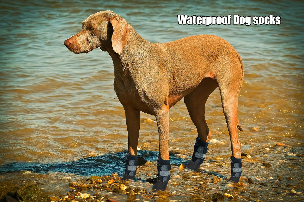 VALFRID Waterproof Grip Dog Shoes,Anti-Slip Dog Socks Boots,Zipper Dogs Booties Paw Protectors for Hardwood Floor,Indoor and Outdoor for Small Medium Large Dogs Black