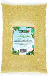 Bird Street Bistro Hulled Millet Bird Seed - Bird Food for Canary, Finches, Small Wild Birds - No Harmful Substances, No Fillers