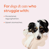 Diggin's Your Dog Super Snouts Pumpkin Latte Digestive Supplement for Dogs and Cats, 5 Ounce - Antibiotic Free, Maintains Healthy Gut, Promotes Stool Consistency