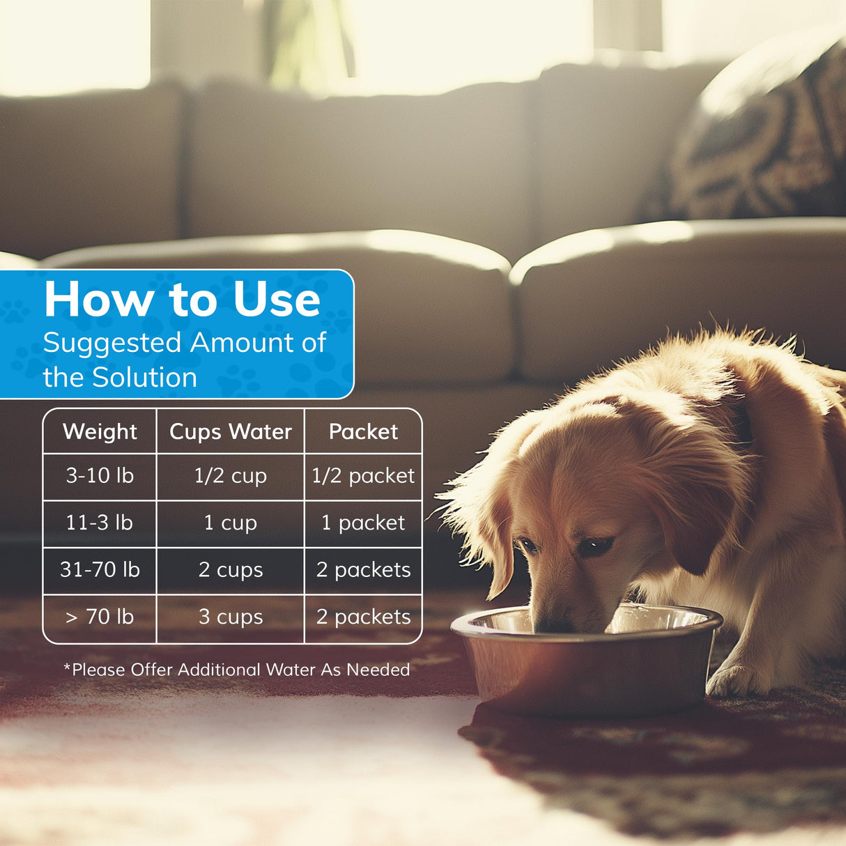 Replenish Dog Recovery Water Supplement – Pedialyte for Dogs Hydration Drink & Water Additive - Electrolytes for Dogs Hydration Supplement – 10 Packets Count