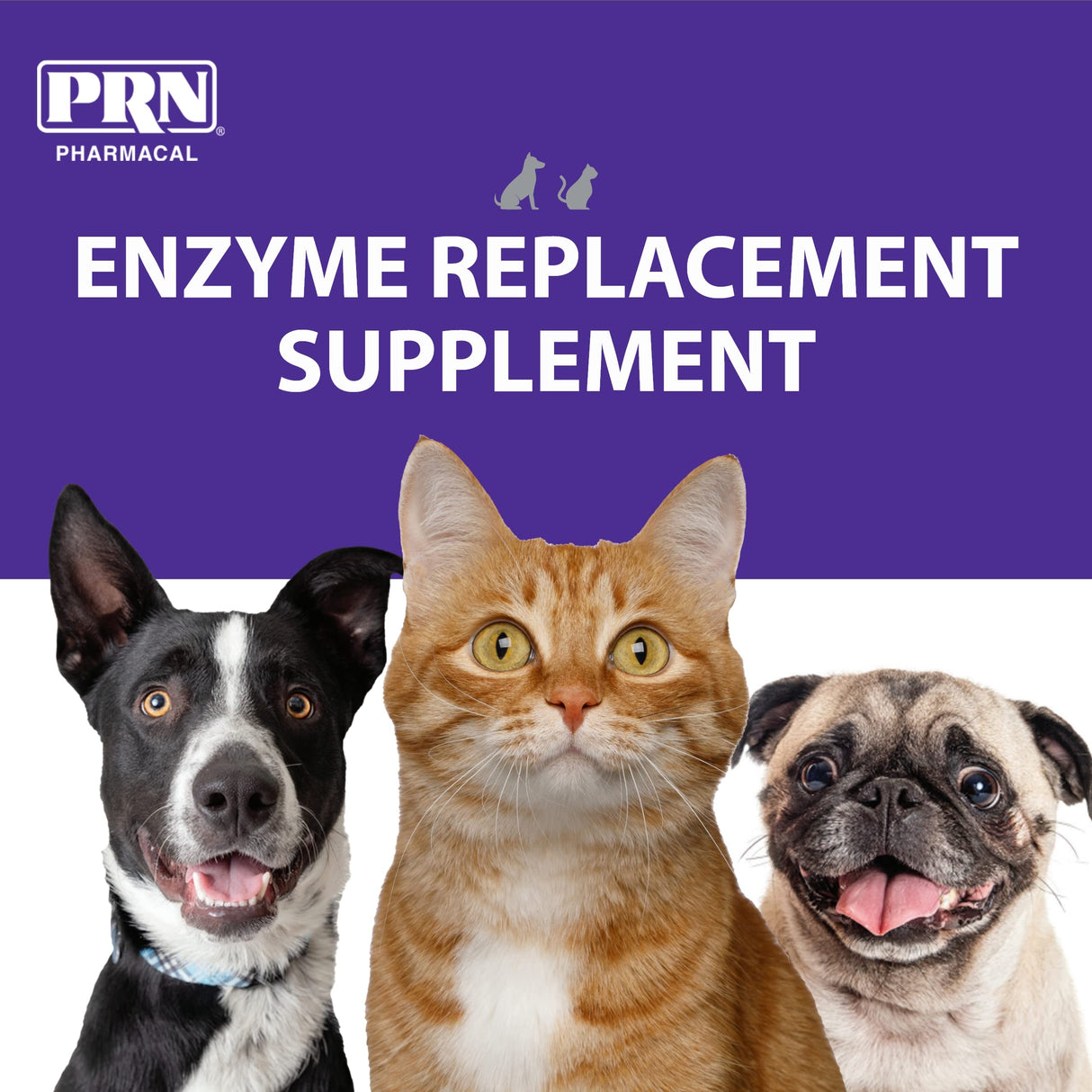 PRN Pharmacal ProZyme Original Formula Enzyme Replacement Supplement - Reinforces Animal's Gut Health, Supports Dog & Cat Food Breakdown - Promotes Pet's Digestive Health - 454 g, 1 lb Bottle