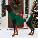 IECOii Dog Christmas Sweater, Dog Sweater for Small Dogs Girl Boy Pullover Knitwear for Holiday, Snowman & Snowflake Christmas Sweaters for Cold Weather Dog Turtleneck with Leash Hole, Green, M