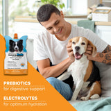 DoggyRade – Dog Sports Drink (Prebiotic, Isotonic Drink for Dogs) | Electrolytes, Nutrients & Amino Acids | Quick Hydration Drink for Dogs + Low Cal | More Than Just Water! | Chicken Flavor | 3x250ml