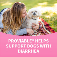 Load image into Gallery viewer, Nutramax Proviable Probiotics for Dogs, Daily Digestive Health Supplement with Multiple Strains of Bacteria, Dog Probiotics Plus Prebiotics, 60 Chewable Tablets
