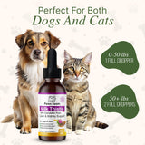 Milk Thistle for Dogs and Cats | Liver Cleanse Detox & Repair with Dandelion Root | Kidney Support Supplement| Herbal Remedy | Denamarin for Dogs| Natural Liquid Vitamins| Bacon Flavor | 2 oz (60 ml)