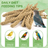 ERKOON 2.5LB Spray Millet Treat, All Natural Sun-Dried Healthy Treat Parrot Food Bird Snack for Parakeets, Lovebirds, Cockatiels, Finches, Budgies, Canaries Hamster, Bird Food Bulk