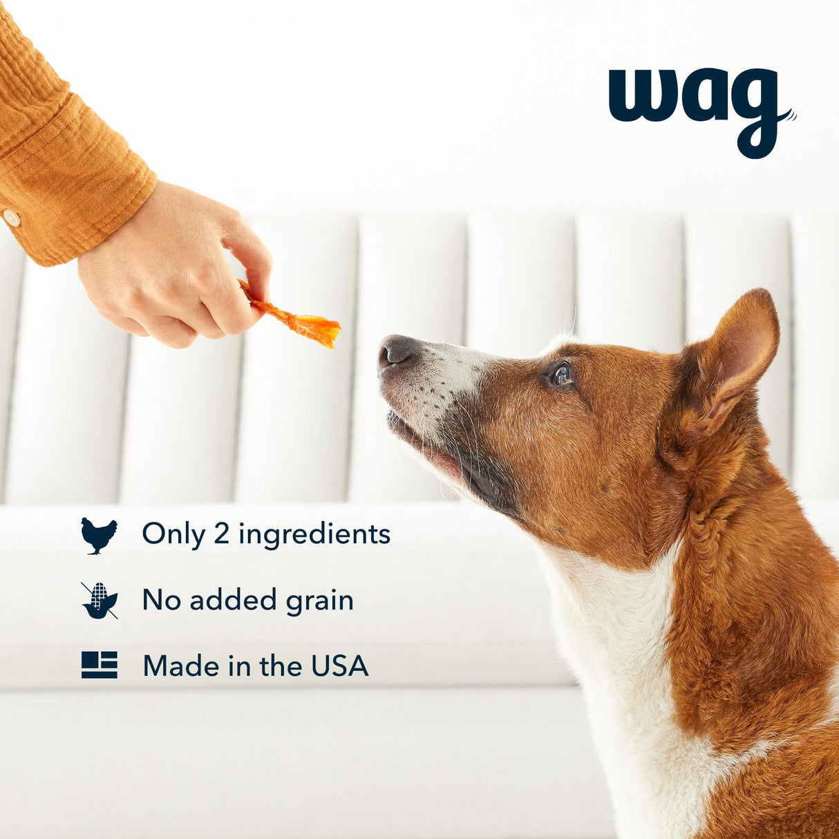 Wag Chewy Whole Muscle American Jerky Dog Treats – Chicken
