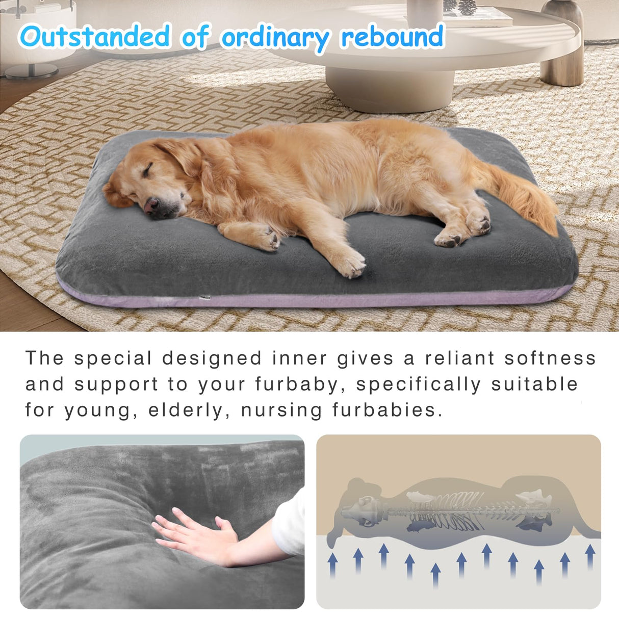 Magic Dog Super Soft Medium Dog Bed, 32 Inches Orthopedic Foam Pet Beds with Anti Slip Bottom, Dog Sleeping Mattress with Removable and Washable Cover, Grey M,32'' X 24'' X 3''