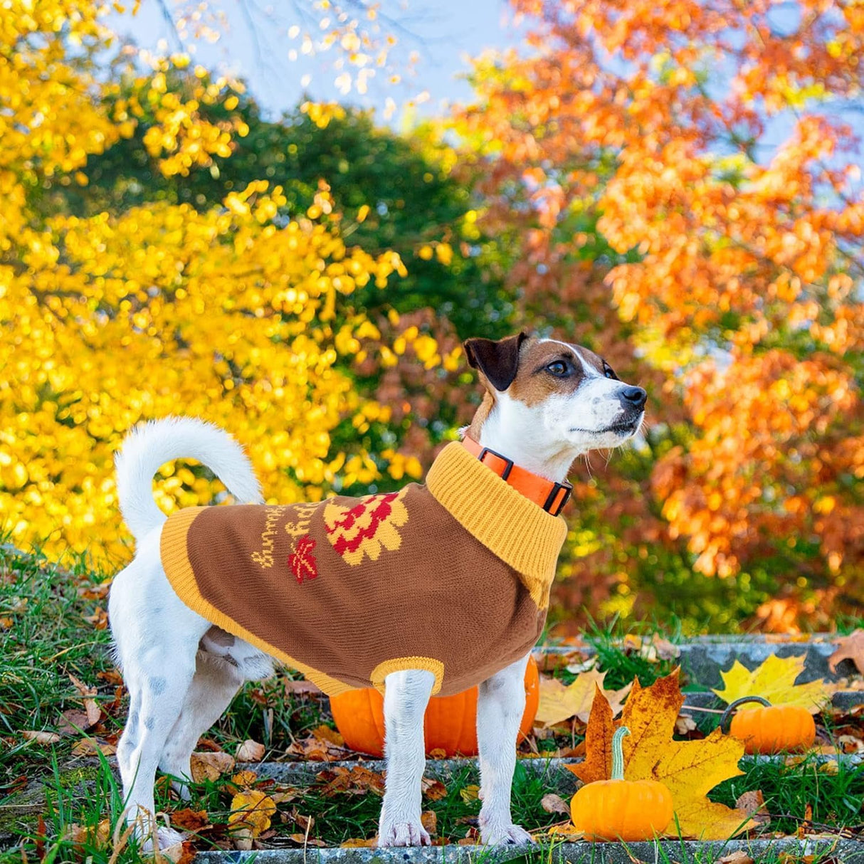HUMLANJ Thanksgiving Knitted Dog Turtleneck Sweater Dog Sweaters Turkey Warm Pullover Sleeveless with Leash Hole for Puppy Doggy Doggie Yorkshire Chihuahua Pug(XL)