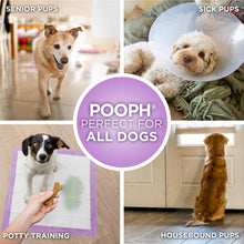 Load image into Gallery viewer, POOPH® Potty Pads™ – 50 Count – Superior Absorbency &amp; Odor Control – Absorbs 59oz, Leak-Proof, Track-Proof, Spill-Proof – Quick-Dry, Disposable, 24x24 Inch – for Puppies, Seniors, Housebound Pets
