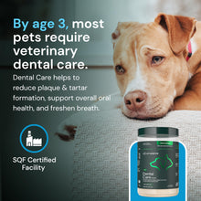 Load image into Gallery viewer, VETRISCIENCE Dental Care Powder - Dental Supplement Powder for Dogs &amp; Cats - Supports Breath Freshening - Healthy Teeth &amp; Gums - Easy-to-Use Oral Hygiene for Pets - 16 oz
