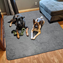 Load image into Gallery viewer, Dog Pee Pad Washable Extra Large, 72x72 Instant Absorb Training Pads, Non-Slip Pet Playpen Mat Waterproof Reusable Floor Mat for Puppy, Senior Dog Whelping Incontinence Housebreaking
