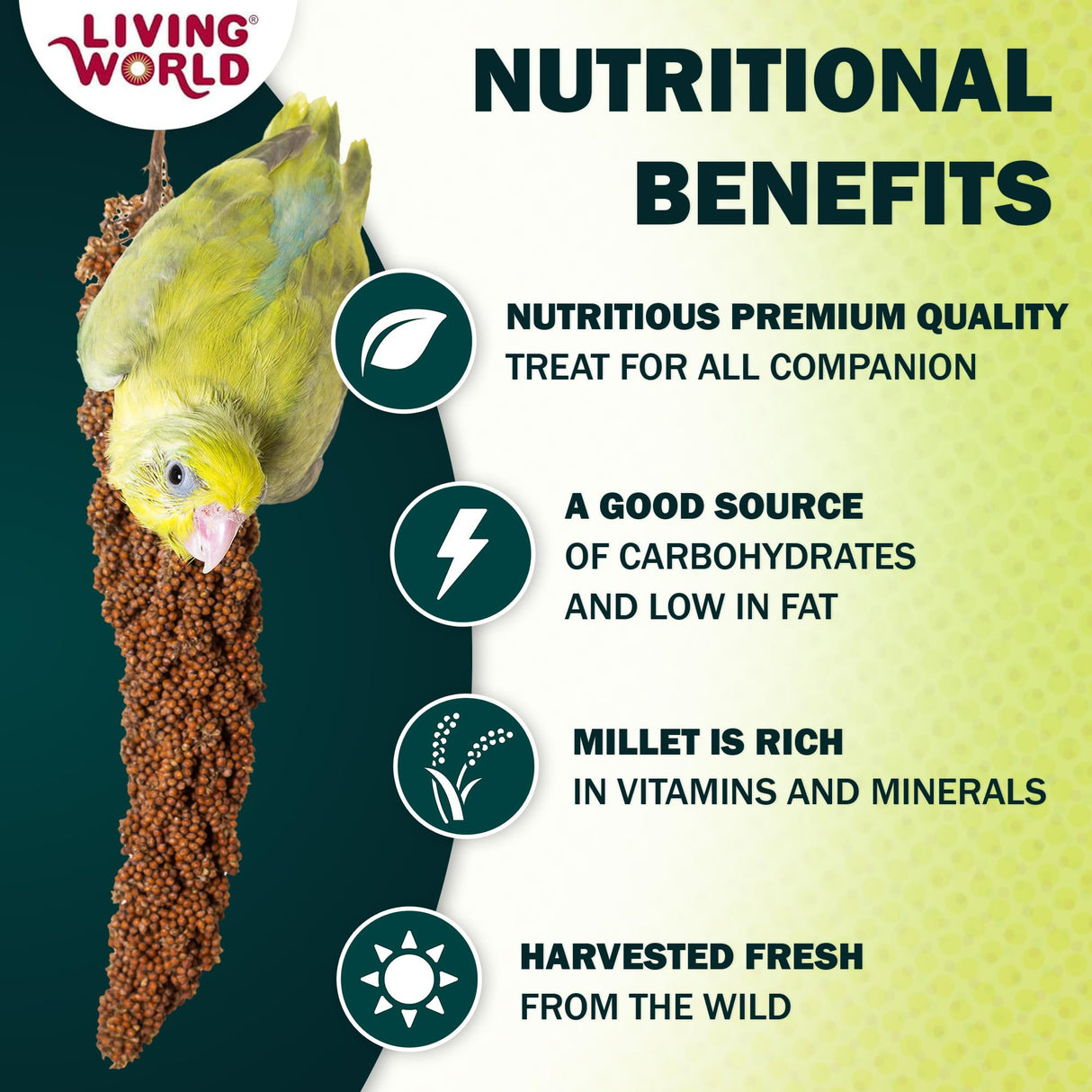 Living World – Millet Spray for Birds, 5 Pounds – Premium Treat for Budgies, Canaries, Finches, Cockatiels and Other Pet Birds
